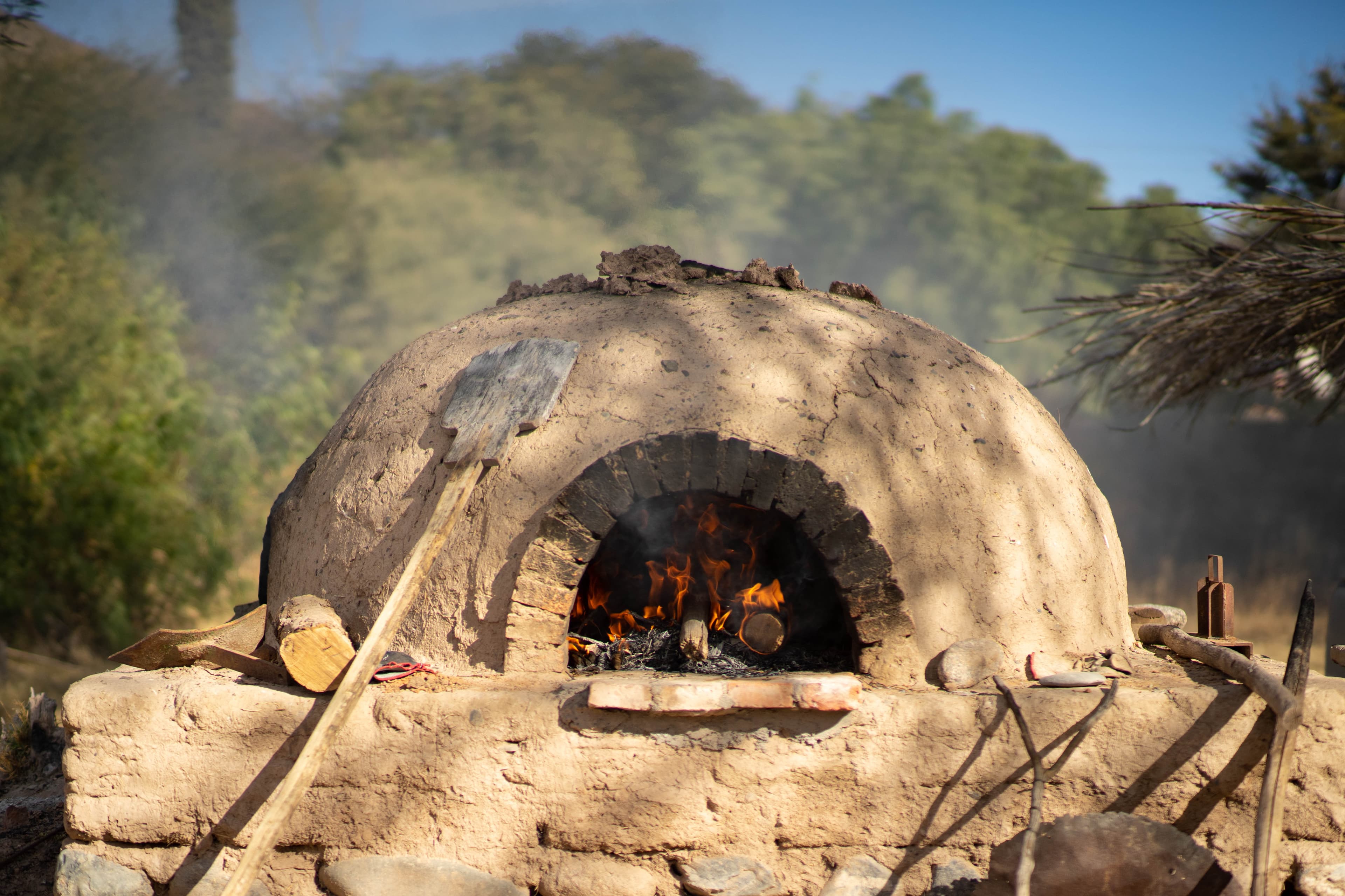 Producción local en los Valles Calchaquíes